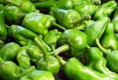 pimiento padron picante